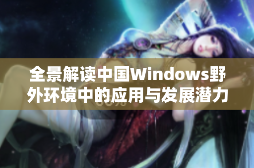 全景解读中国Windows野外环境中的应用与发展潜力