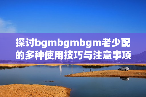 探讨bgmbgmbgm老少配的多种使用技巧与注意事项