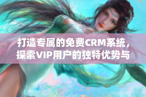 打造专属的免费CRM系统，探索VIP用户的独特优势与特色